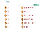 教科版八年级上册物理习题课件 期末提分练案 第6讲 第1课时  达标训练