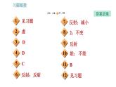 教科版八年級(jí)上冊(cè)物理習(xí)題課件 第4章 4.3.1 平面鏡成像的特點(diǎn)