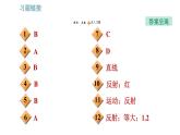 教科版八年級上冊物理習題課件 期末提分練案 第3講 第1課時  達標訓練