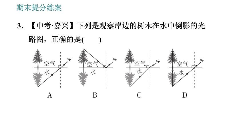 教科版八年级上册物理习题课件 期末提分练案 第3讲 第1课时  达标训练第7页