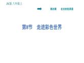 教科版八年級(jí)上冊(cè)物理習(xí)題課件 第4章 4.8  走進(jìn)彩色世界