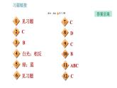 教科版八年級(jí)上冊(cè)物理習(xí)題課件 第4章 4.8  走進(jìn)彩色世界