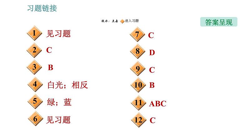 教科版八年级上册物理习题课件 第4章 4.8  走进彩色世界02