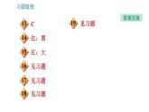 教科版八年級(jí)上冊(cè)物理習(xí)題課件 第4章 4.8  走進(jìn)彩色世界