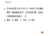 教科版八年级上册物理习题课件 第5章 5.4 地球上的水循环