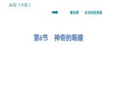 教科版八年级上册物理习题课件 第4章 4.6  神奇的眼睛