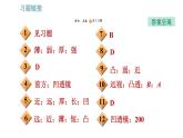 教科版八年级上册物理习题课件 第4章 4.6  神奇的眼睛