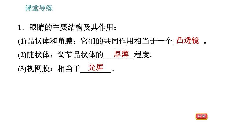 教科版八年级上册物理习题课件 第4章 4.6  神奇的眼睛04