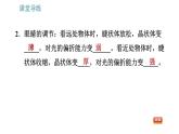 教科版八年级上册物理习题课件 第4章 4.6  神奇的眼睛