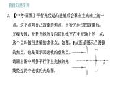 教科版八年級(jí)上冊(cè)物理習(xí)題課件 第4章 階段歸類專訓(xùn) 關(guān)于透鏡光學(xué)作圖的幾種類型
