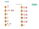 教科版八年级上册物理习题课件 第6章 6.3 测量密度