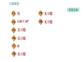 教科版八年級(jí)上冊(cè)物理習(xí)題課件 第4章 4.1 光源 光的傳播