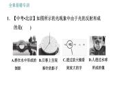 教科版八年级上册物理习题课件 第4章 全章易错专训