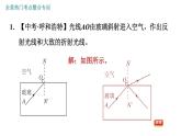 教科版八年级上册物理习题课件 第4章 全章热门考点整合专训