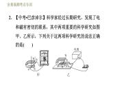 教科版九年级全一册物理习题课件 第八章 全章高频考点专训 专训1 区分三大电磁现象