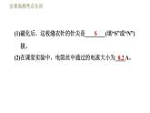 教科版九年级全一册物理习题课件 第七章 全章高频考点专训 专训2 电磁探究