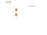 教科版九年级全一册物理习题课件 第五章 全章高频考点专训 专训4 测电阻——伏安法