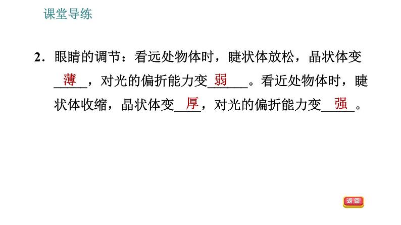 教科版八年级上册物理习题课件 第4章 4.6  神奇的眼睛第5页