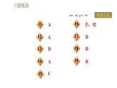 教科版九年級全一冊物理 第九章 習題課件