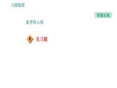 沪粤版九年级上册物理习题课件 第14章 14.2.1   电流与电压、电阻的关系