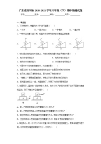 广东省深圳市2020-2021学年八年级（下）期中物理试题（word版 含答案）