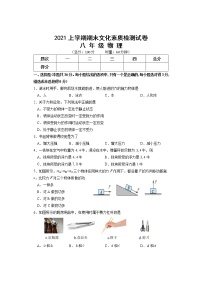 湖南省娄底市娄星区2020-2021学年八年级下学期期末考试物理试题（word版 含答案）