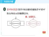 沪科版九年级全一册物理课件 第十七章 阶段强化专题（七） 专训1 电磁作图