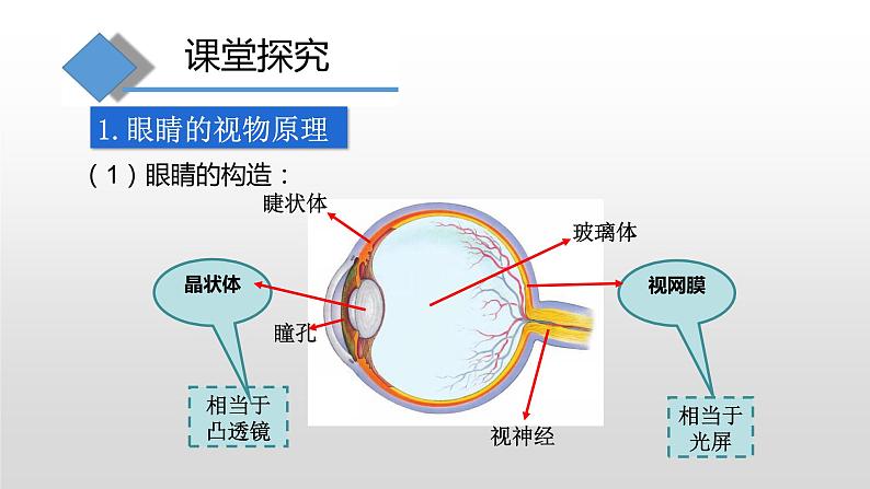 4.6神奇的眼睛—沪科版八年级全一册物理课件04