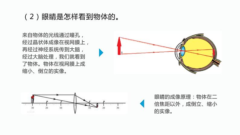 4.6神奇的眼睛—沪科版八年级全一册物理课件05