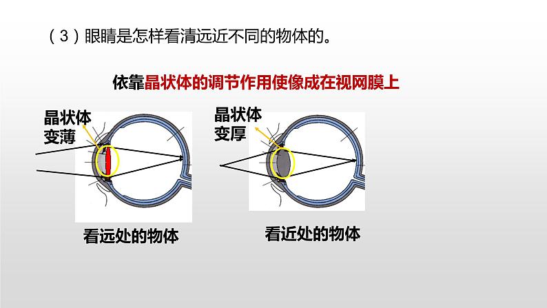 4.6神奇的眼睛—沪科版八年级全一册物理课件06