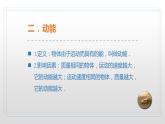 10.6 合理利用机械能第二课时 —2020-2021学年沪科版八年级全一册物理课件
