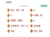 北师版八年级上册物理习题课件 第5章 5.1 光的传播