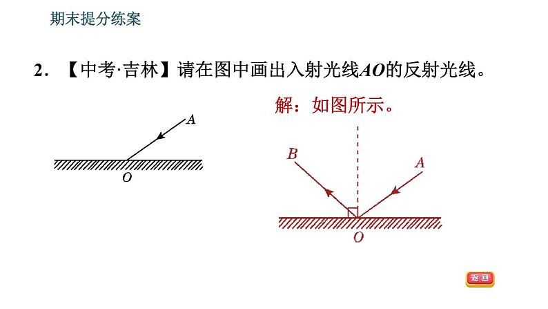 北师版八年级上册物理习题课件 期末提分练案 第5讲 光现象 第2课时　应用训练    光现象作图第4页