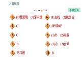 北師版八年級上冊物理習(xí)題課件 第5章 5.3.2 平面鏡、球面鏡的應(yīng)用