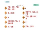 沪科版九年级上册物理课件 第20章 20.1  能量的转化与守恒