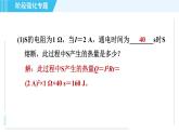 北师版九年级全一册物理习题课件 第14章 阶段强化专题（十一） 专训3 电磁计算