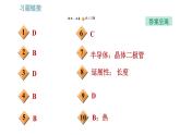 沪科版九年级上册物理课件 第20章 20.3  材料的开发和利用