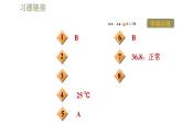 人教版八年级上册物理课件 第3章 集训课堂  温度计