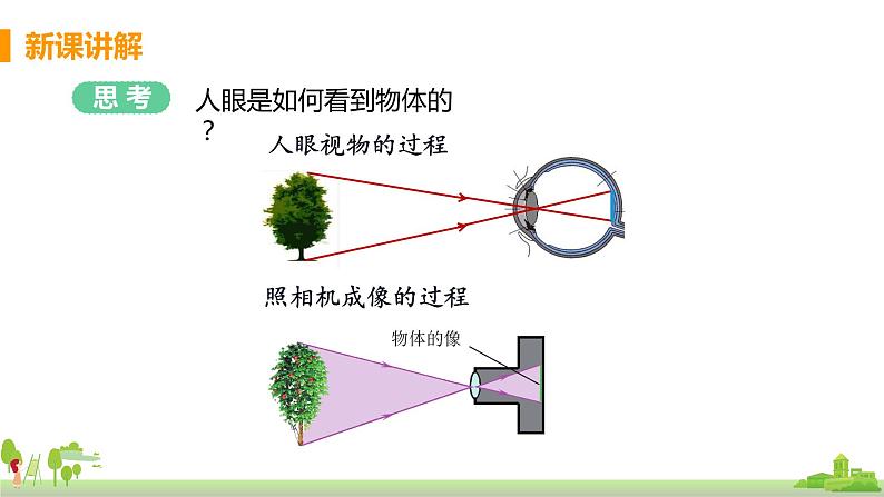 教科版物理八年级上册 4.6《神奇的眼睛》PPT课件06