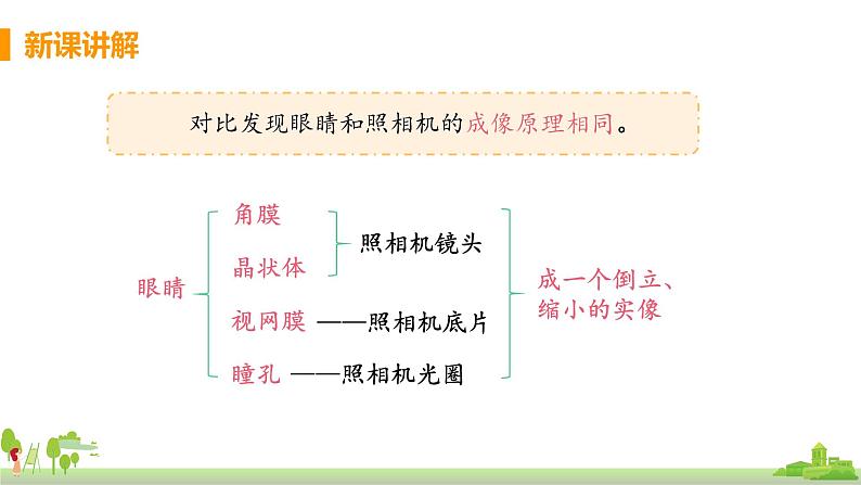 教科版物理八年级上册 4.6《神奇的眼睛》PPT课件07