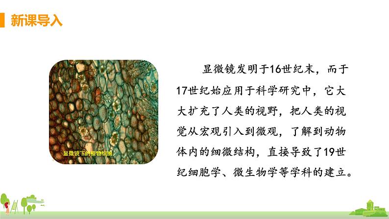 教科版物理八年级上册 4.7《通过透镜看世界》PPT课件+素材03