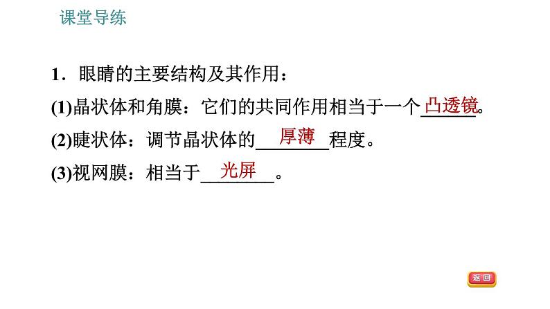 人教版八年级上册物理习题课件 第5章 5.4   眼睛和眼镜第4页