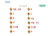 人教版八年级上册物理习题课件 第4章 4.2   光的反射