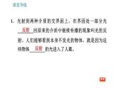 人教版八年级上册物理习题课件 第4章 4.2   光的反射