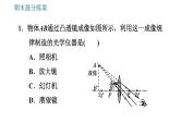 人教版八年级上册物理习题课件 期末提分练案 第5讲   第1课时   达标训练   透镜及其应用