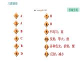 人教版八年级上册物理习题课件 期末提分练案 第4讲   第1课时   达标训练   光现象