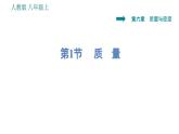 人教版八年级上册物理习题课件 第6章 6.1   质　量