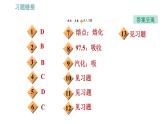人教版八年级上册物理习题课件 期末提分练案 第3讲   第1课时   达标训练   物态变化的应用与探究