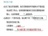 滬粵版九年級下冊物理課件 期末復習 專題2　實驗專題