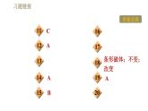 沪科版九年级下册物理习题课件 第17章17.2.1奥斯特实验和通电螺线管